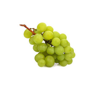 Unripe Grapes