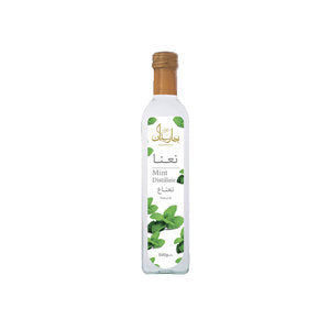 Premium Mint 450 CC Pasteurized