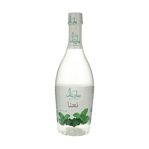 Concentrated Premium Mint 450 CC Pasteurized