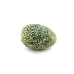 Rock Melon