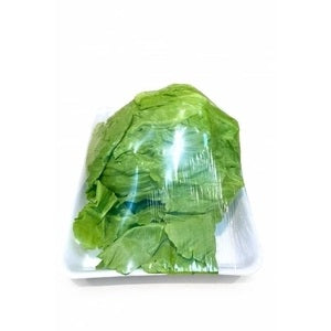 Romaine Lettuce 0.5 Kg