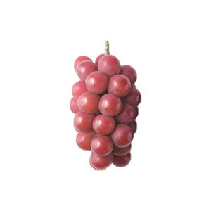 Ruby Roman Grapes 0.5 Kg
