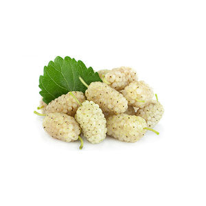 White Mulberry 0.5 Kg