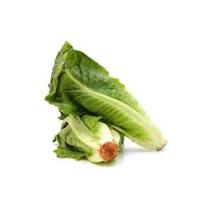 Romaine Lettuce 0.5 Kg