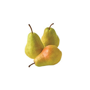 Dargazi Pear
