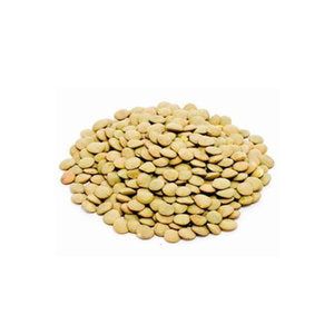 Lentils 500g